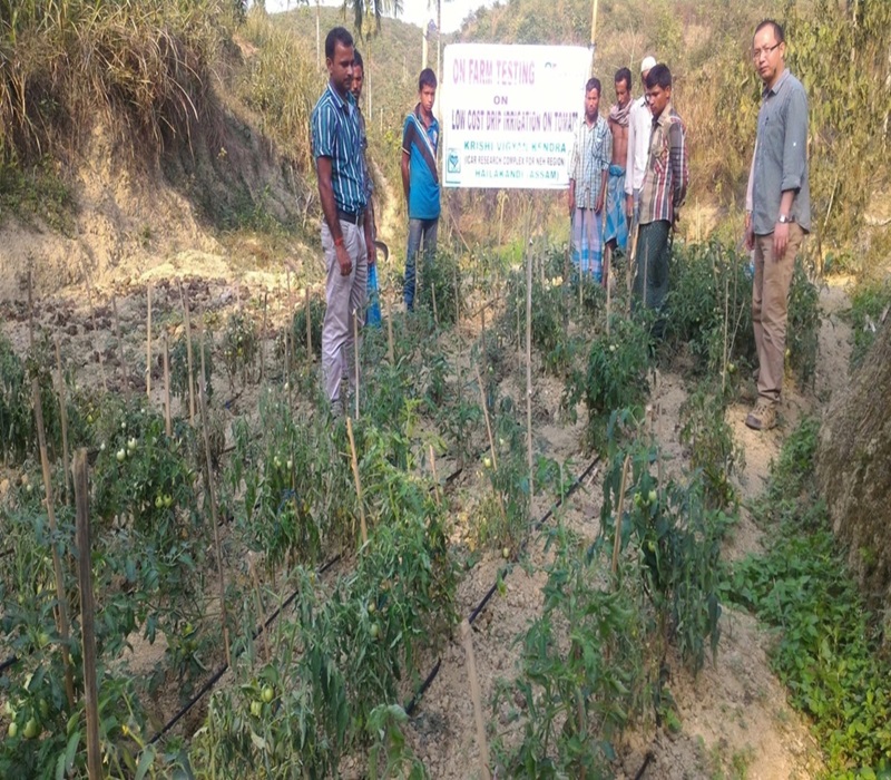 Assessment of low cost drip irrigation-e