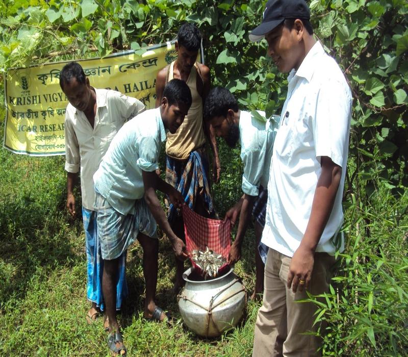 Popularisation of Composite fish culture