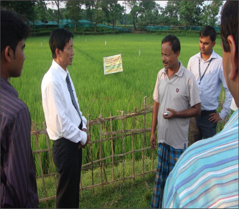 Popularisation of Integrated pest management in paddy