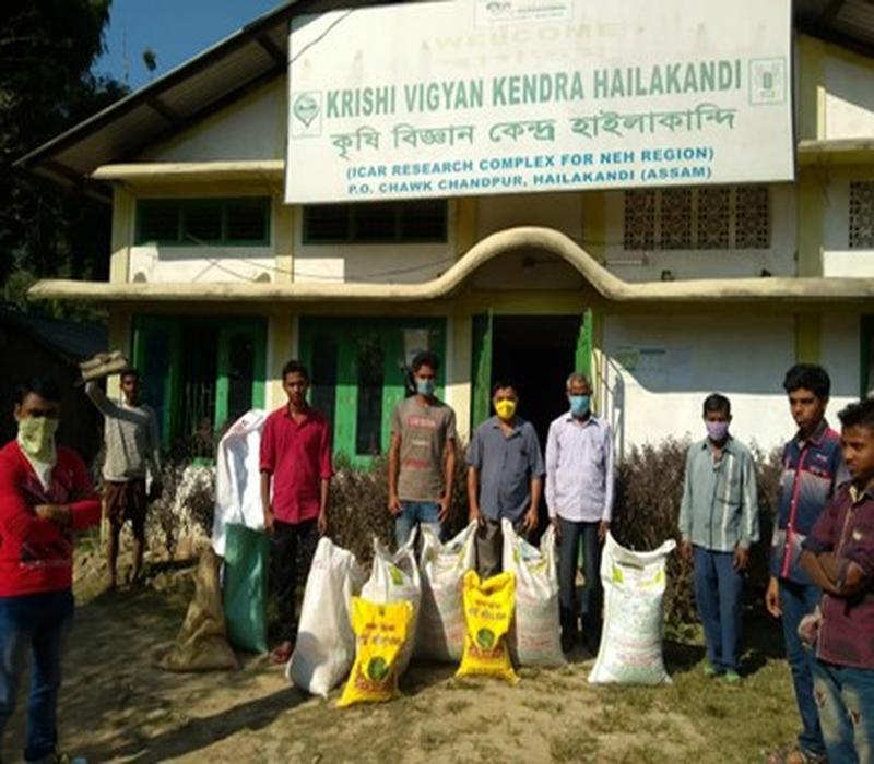 Popularisation of Vanaraja for backyard poultry production