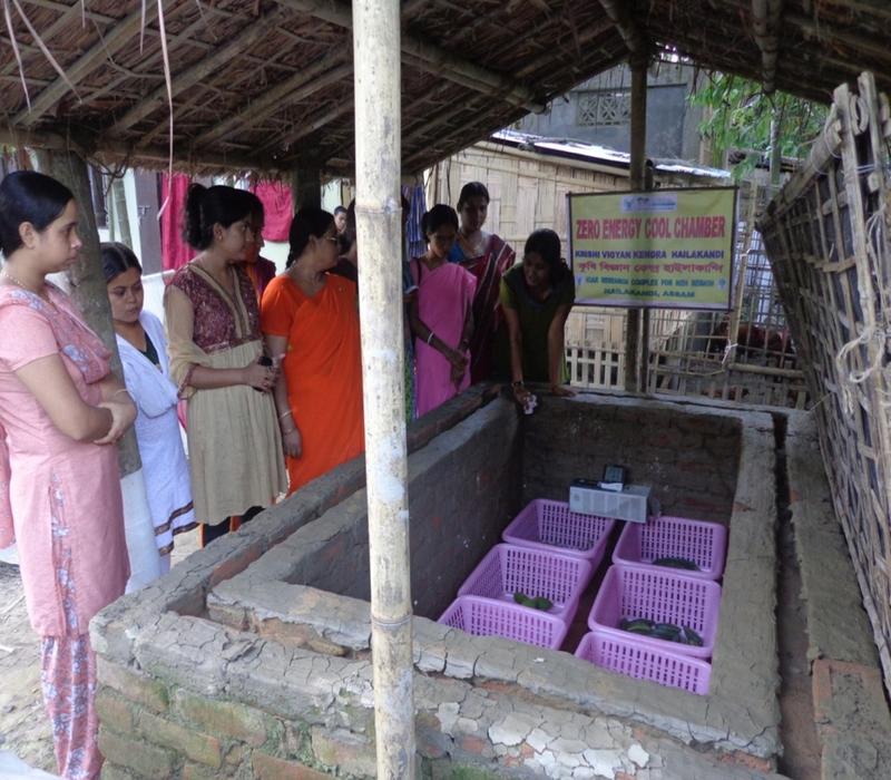Popularisation of low cost Zero Energy Cool Chamber for shelf life extension of fresh fruits and vegetables