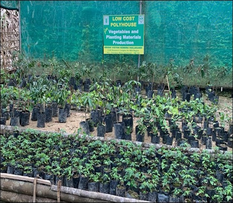Vegetable and planting material production unit