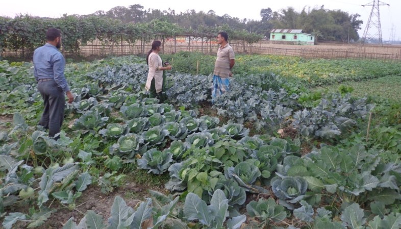 Household food and nutritional security by nutrition garden