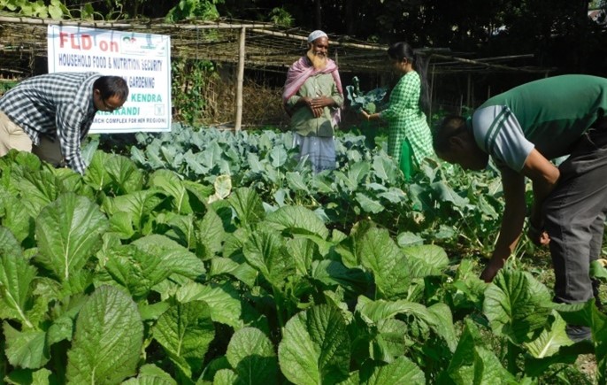 Household food and nutritional security by nutrition garden