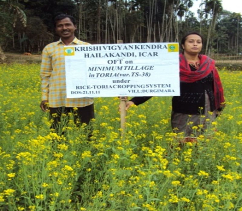 Assesment of minimum tillage in Toria (Var.TS-38)