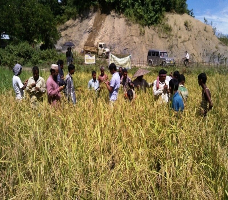 Assessment of SRI- a resource conservation technology for farmers-e