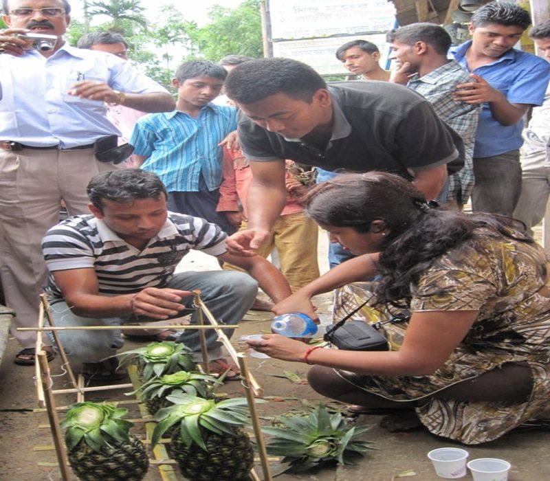 ssessment of Shelf life extension of pineapple by chemical treatment-e
