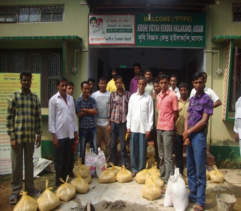 Assessment of balanced diet for carps (Sushma Feed)-e