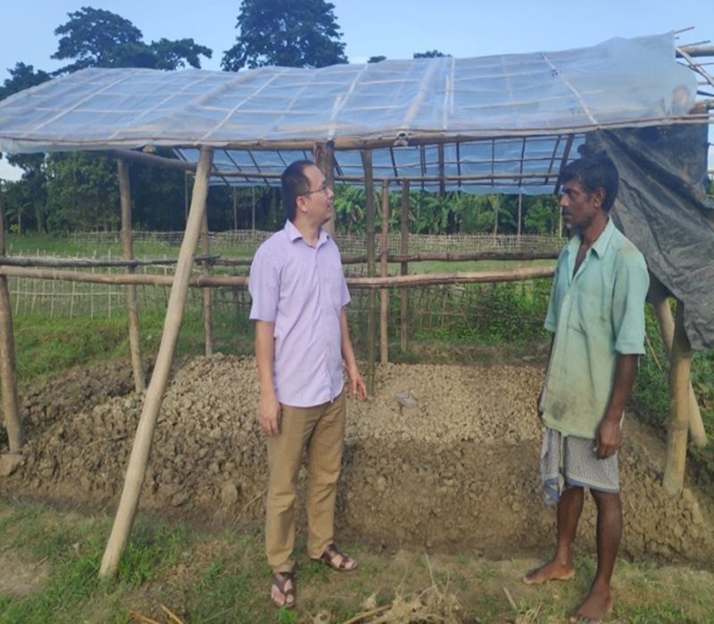 Assessment of low cost rain shelter for round the year the production-e