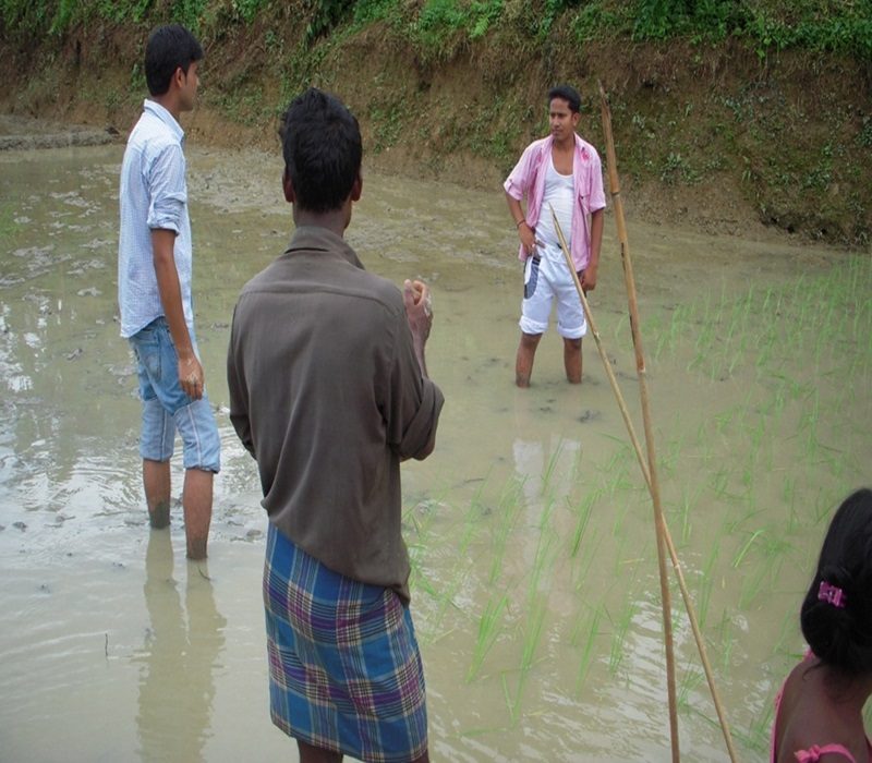 Assessment of suitable cultivation practices for post flood-e