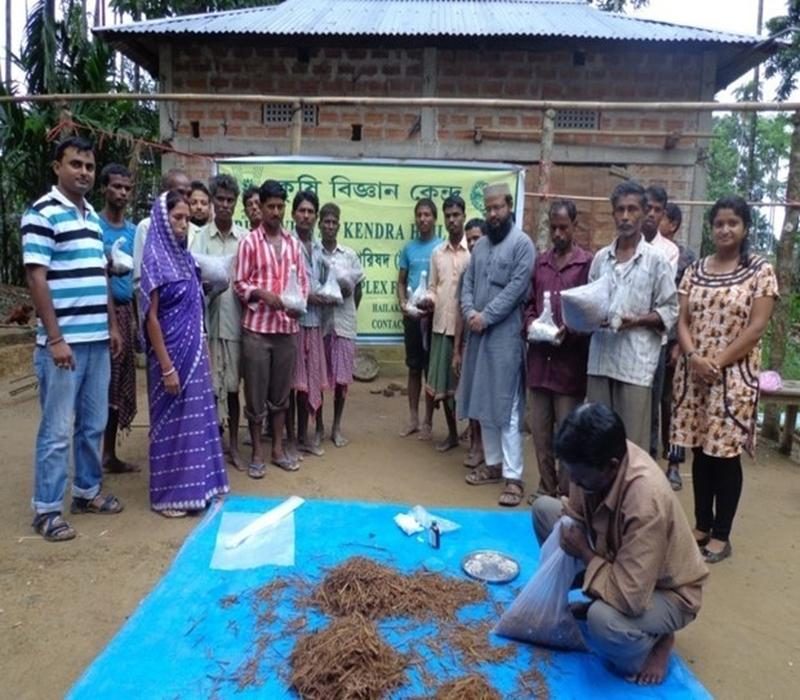 Demonstration on mushroom production