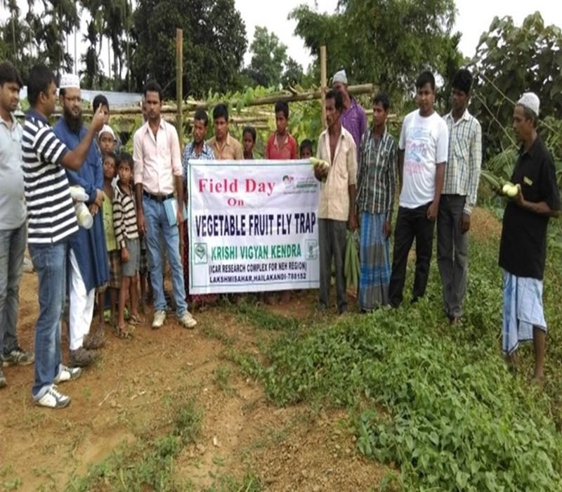 Field Day on Management of bacterial wilt in brinjal