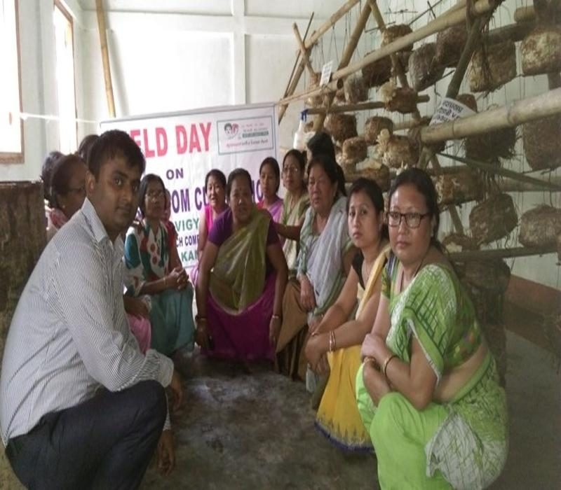 Field Day on oyster mushroom cultivation