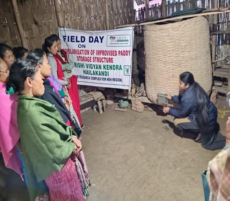 Field day on Popularisation of improvised paddy storage structure