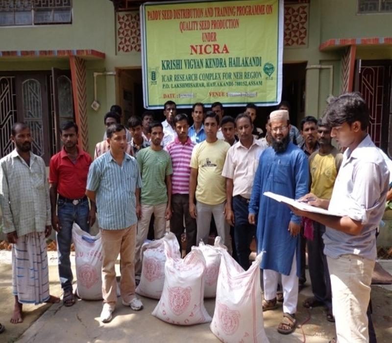 Paddy seed (var-Ranjit) distribution programme under NICRA