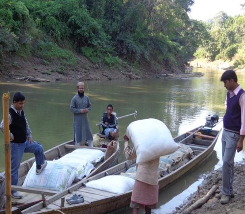Paddy seeds distribution