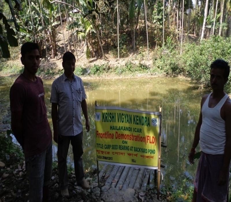 Popularisation of Carp seed rearing at backyard pond