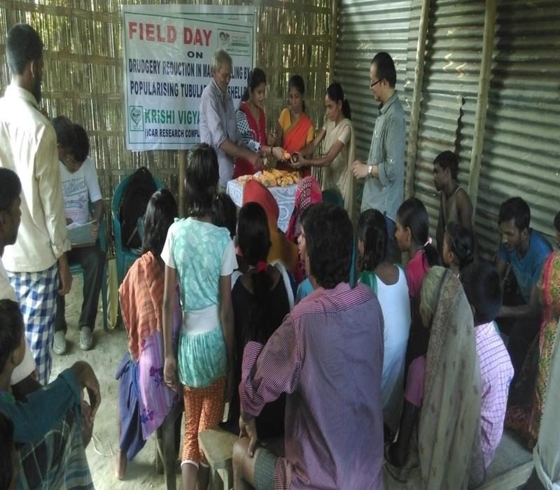 Popularisation of Drudgery reduction in maize shelling by popularising Tubular Maize Sheller_e.jpg