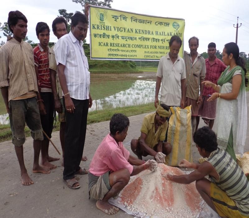 Popularisation of Integrated application of fertilizers and enriched compost on soil fertility and yield of Sali paddy