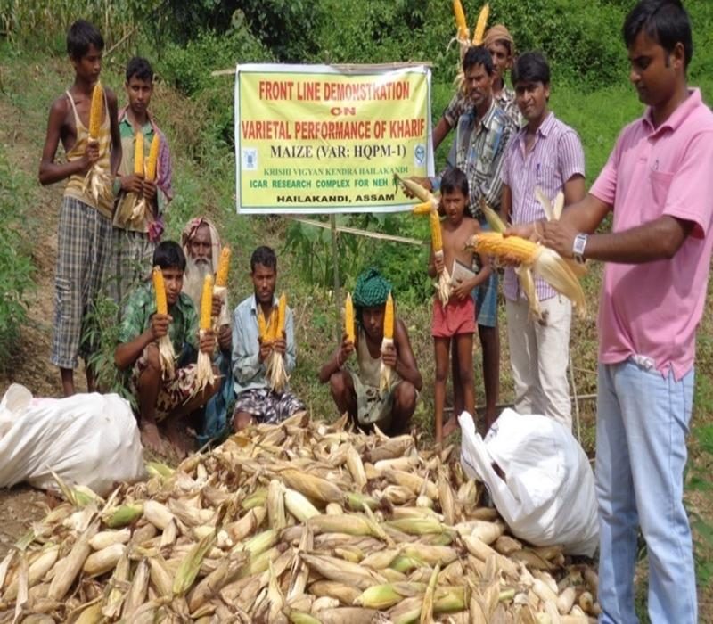 Popularisation of Kharif maize to increase the cropping intensity of the district by utilizing fallow tillah land