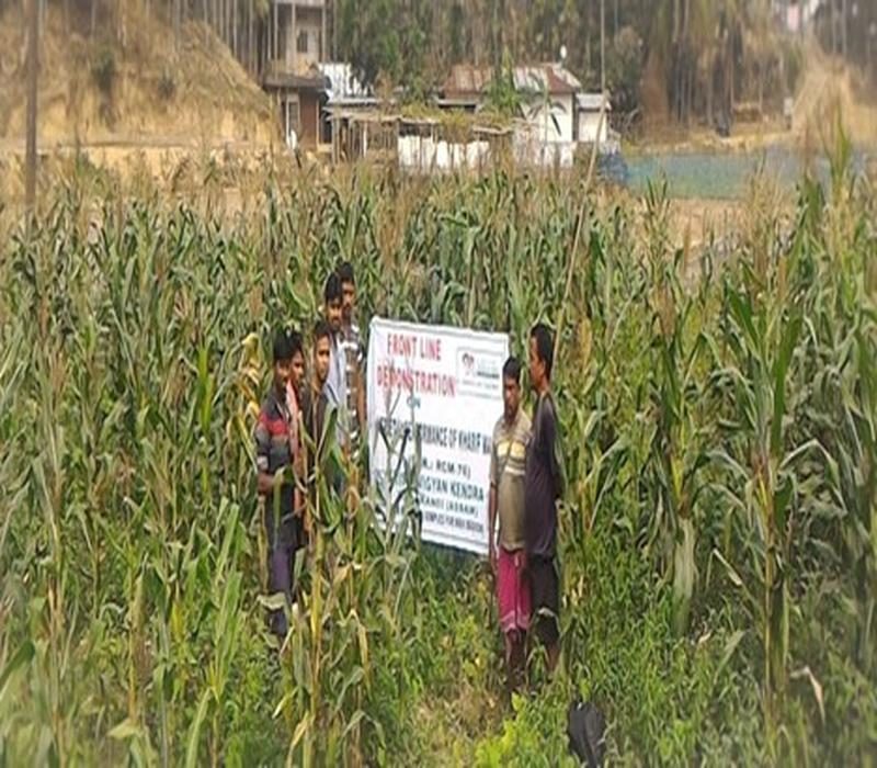 Popularisation of Kharif maize to increase the cropping intensity of the district