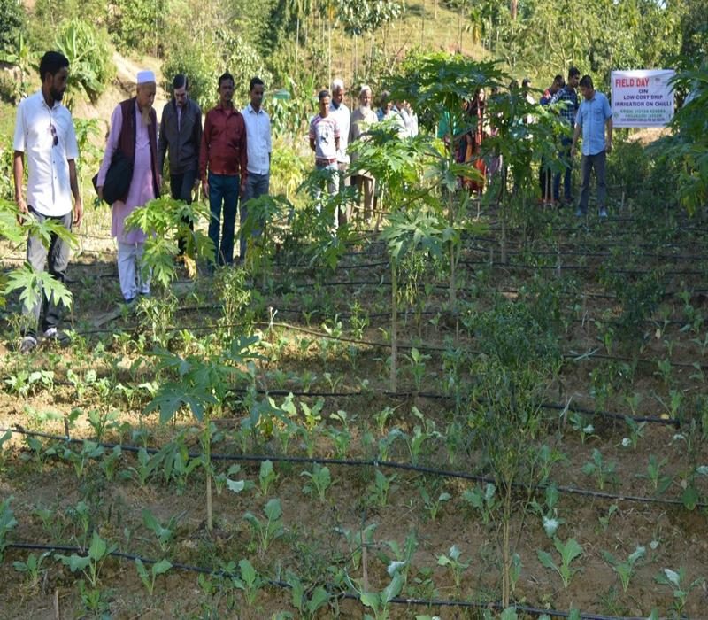 Popularisation of Low cost drip irrigation