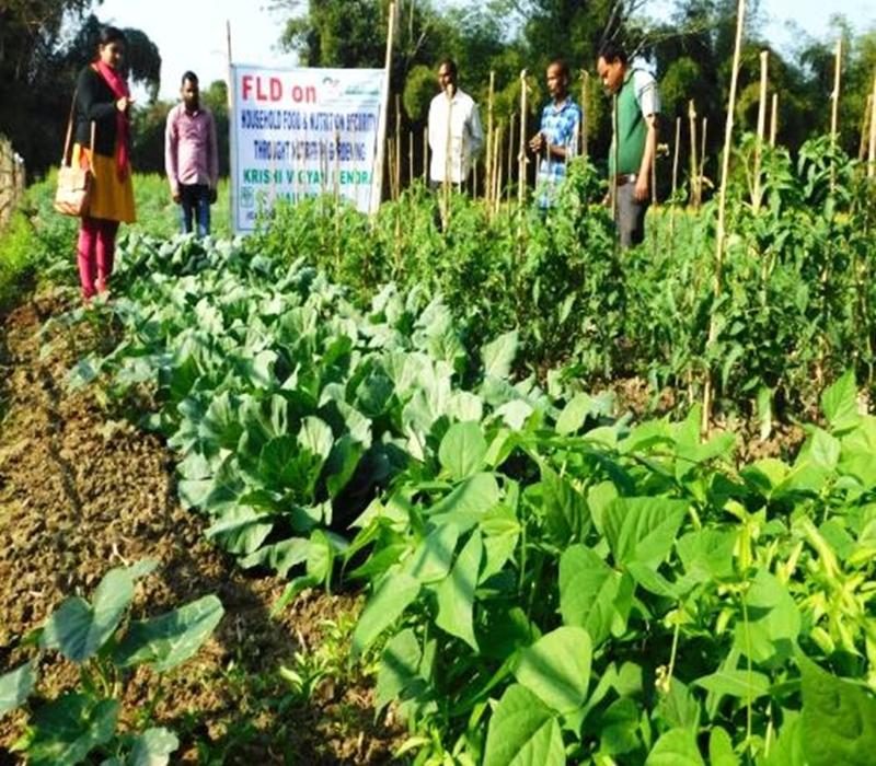 Popularisation of Nutrition Garden for food and nutritional security