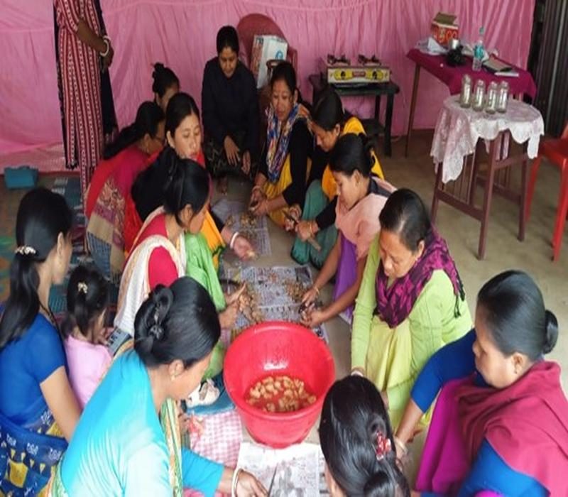 Popularisation of Ready-to-use ginger paste technology