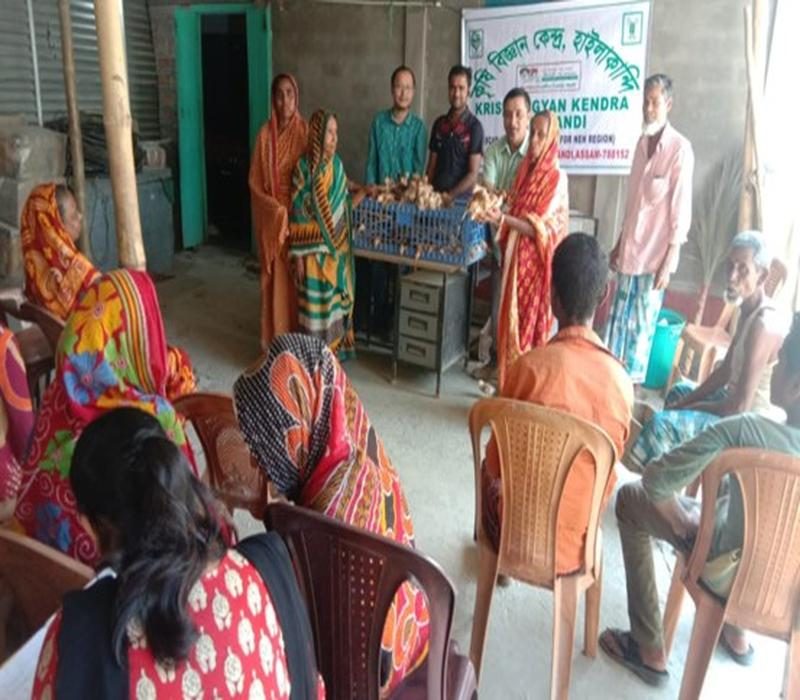 Popularisation of Vanaraja chicken under backyard management system