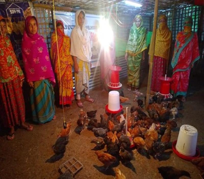 Popularisation of Vanaraja for backyard poultry production