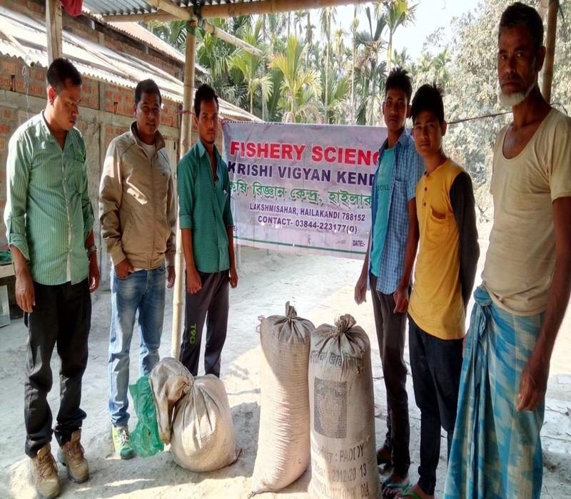 Popularisation of balanced diet for carps