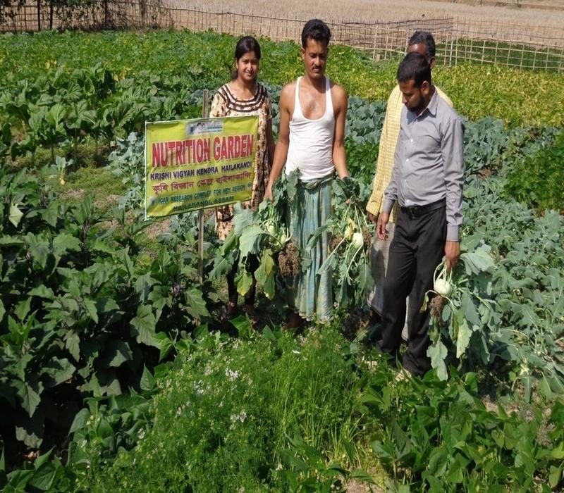 Popularisation of food & nutritional security through nutrition garden