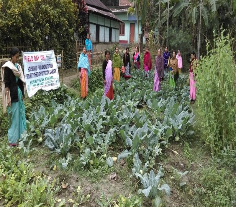 Popularisation of household food and nutritional security through Nutrition Garden_e.jpg