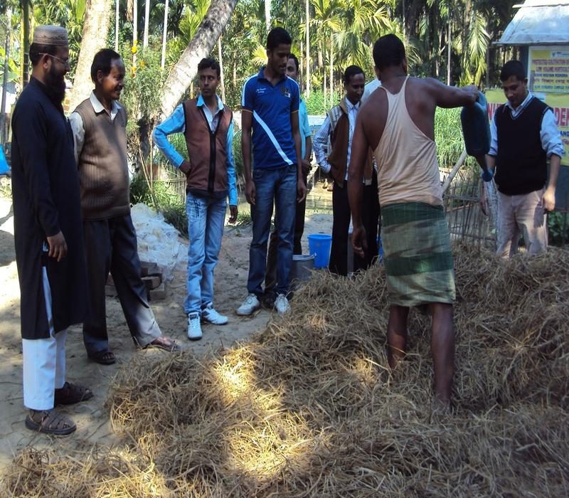 Popularisation of urea treatment of paddy straw to increase the palatability and nutrient content
