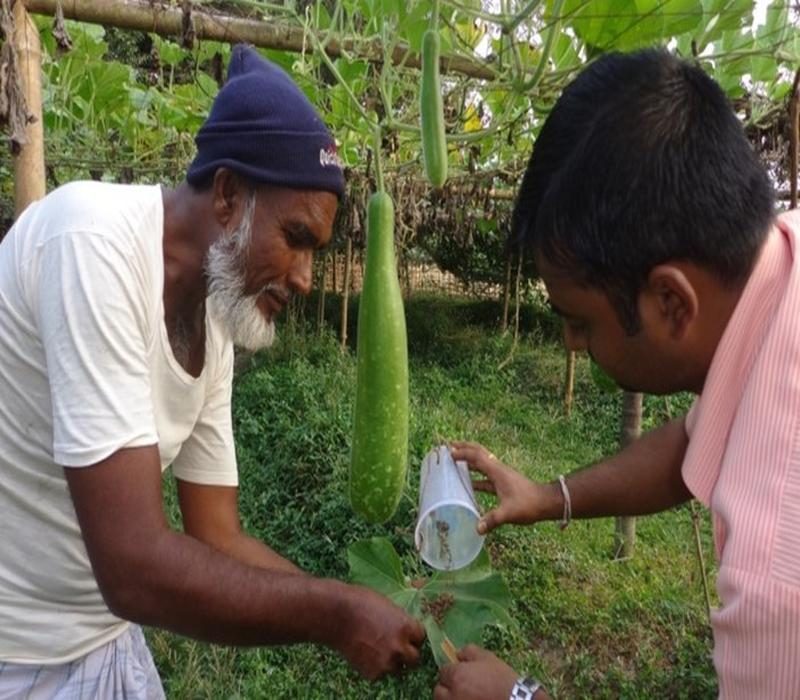 Knowledge Systems and Homestead Agriculture Management in Tribal Areas (KSHAMTA) funded by ICAR